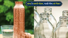 તાંબાની કે કાચની બોટલ... પાણી પીવા કયો વિકલ્પ બેસ્ટ છે?