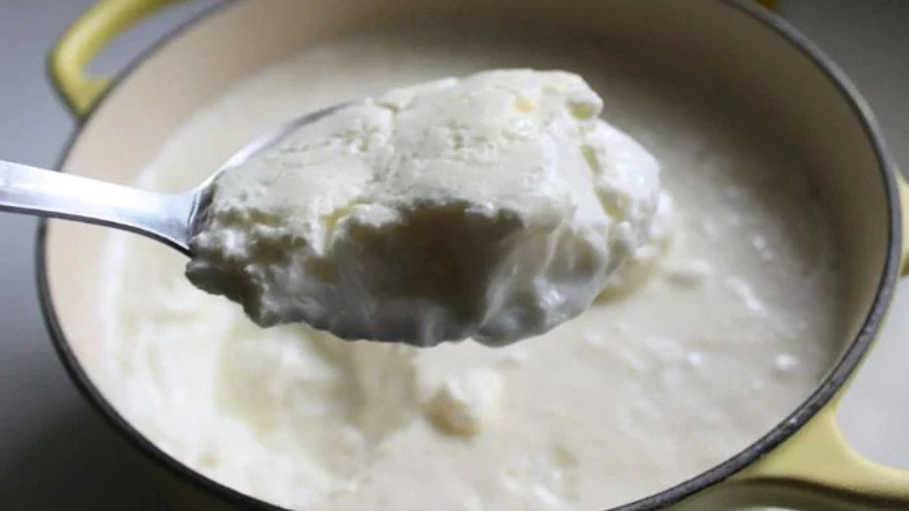 ચહેરા માટે દહીં: દહીં ત્વચા માટે અત્યંત ફાયદાકારક છે. તે એક ઉત્તમ ક્લીન્ઝર તરીકે કામ કરે છે અને ત્વચાને પોષણ પણ આપે છે. દહીંમાં એક ચપટી હળદર અને થોડો ચણાનો લોટ ભેળવીને અઠવાડિયામાં બે થી ત્રણ વાર ચહેરા પર લગાવવાથી ત્વચા ચમકી શકે છે, રંગ સુધરે છે અને ખીલ ઓછા થાય છે.
