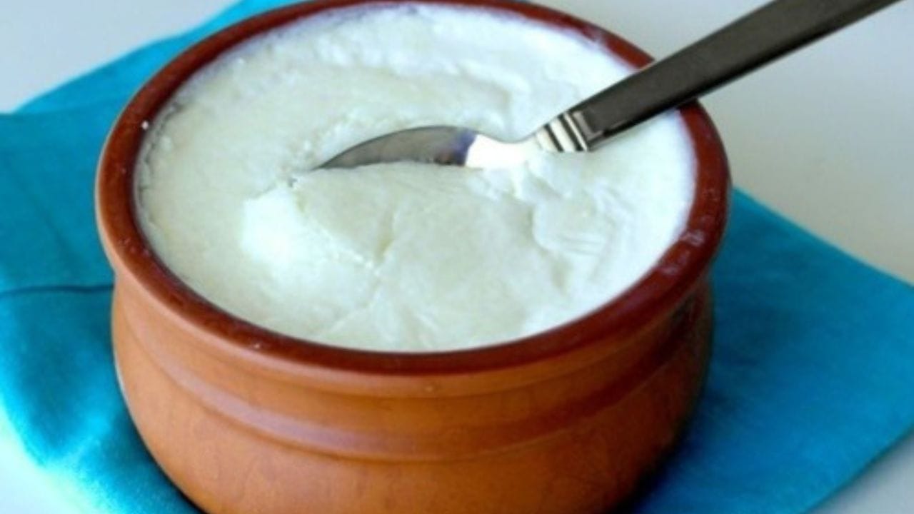 વાસણો સાફ કરો: જો દહીં ખાટું થઈ જાય તો તમે તેનો ઉપયોગ તમારા ઘરને સાફ કરવા માટે કરી શકો છો. તેનો ઉપયોગ પિત્તળ અને તાંબાના વાસણો સાફ કરવા માટે કરો. વાસણોમાં દહીં લગાવો, તેમને થોડીવાર માટે રહેવા દો અને પછી તે સુકાઈ ગયા પછી તેને સાફ કરો. આનાથી પિત્તળ અને તાંબાના વાસણો સાફ થઈ જશે, જેનાથી તે નવા જેવા ચમકશે. તમે રસોડાના કાઉન્ટરટોપ્સ, સ્ટીલના ડબ્બા અને સિંક સાફ કરવા માટે પણ ખાટા દહીંનો ઉપયોગ કરી શકો છો.
