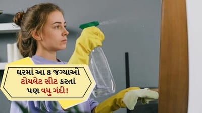 Home Cleaning: ઘરની આ 8 જગ્યાઓ ટોયલેટ સીટ કરતાં પણ વધુ ગંદી, દરરોજ સફાઈ કરવી જરૂરી, નહીં તો તમે બીમાર પડશો!