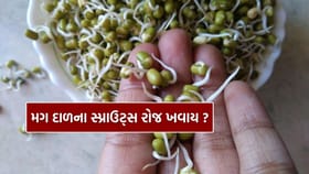 મગ દાળના સ્પ્રાઉટ્સ રોજ ખાવા શરીર માટે યોગ્ય છે કે નહીં? જાણો