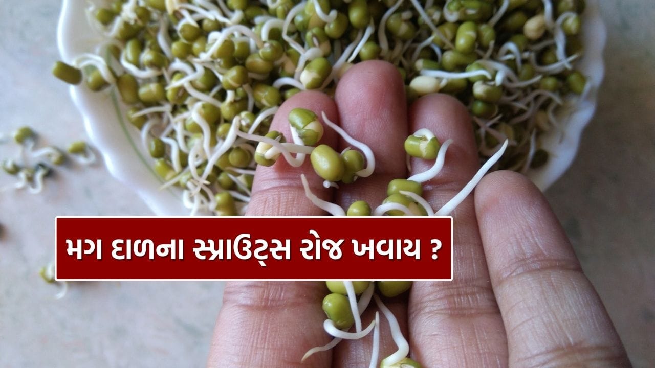 મગ દાળના સ્પ્રાઉટ્સને આજે એક સુપરફૂડ તરીકે ઓળખવામાં આવે છે. તેમાં શરીર માટે જરૂરી અનેક પોષક તત્વો ભરપૂર માત્રામાં હોય છે, જેના કારણે તે સ્વાસ્થ્ય માટે ખૂબ લાભદાયી માનવામાં આવે છે. પરંતુ ઘણા લોકોના મનમાં પ્રશ્ન થાય છે કે શું મગની દાળના સ્પ્રાઉટ્સ રોજ ખાવા સ્વાસ્થ્ય માટે ખરેખર યોગ્ય છે? ચાલો જાણીએ આ વિષય પર નિષ્ણાતો શું કહે છે.