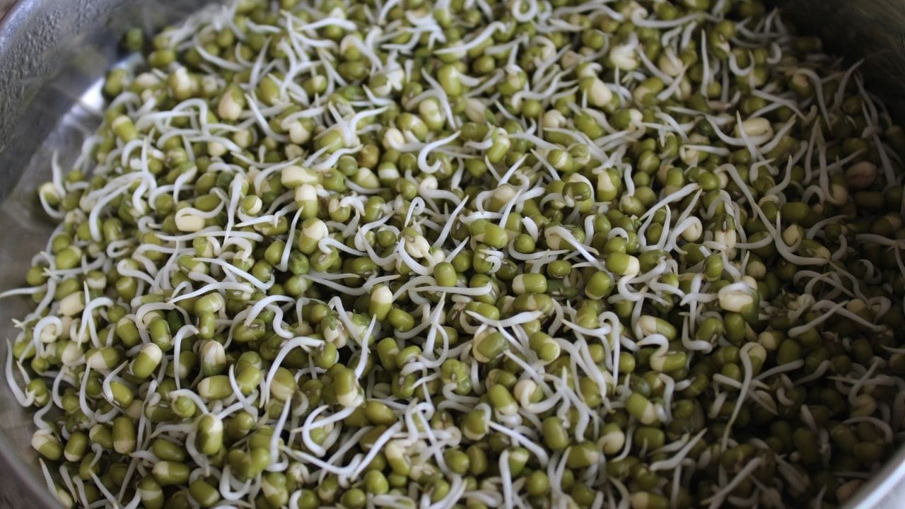 મગની દાળ પ્રોટીનનો ઉત્તમ સ્ત્રોત છે, જે સ્નાયુઓ, કોષોની રચના અને શરીરના વિકાસમાં મહત્વપૂર્ણ ભૂમિકા ભજવે છે. તેમાં કાર્બોહાઇડ્રેટ્સ, ફાઇબર, સ્વસ્થ ચરબી તેમજ વિટામિન B1, B2, B3 અને B9 (ફોલેટ) મળે છે. ખનિજોમાં આયર્ન, કેલ્શિયમ, મેગ્નેશિયમ અને પોટેશિયમનો સમાવેશ થાય છે. આ દાળ પેટ માટે હલકી હોવાથી પાચનમાં મદદ કરે છે અને તેમાં એન્ટીઑકિસડન્ટ્સ પણ ભરપૂર હોય છે.