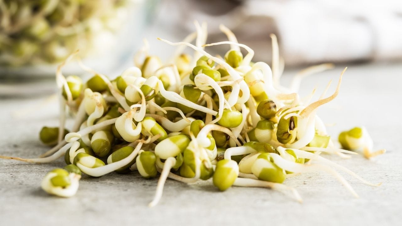 વરિષ્ઠ ડાયેટિશિયન ગીતિકા ચોપરા કહે છે કે મગની દાળના સ્પ્રાઉટ્સને પોષણની દૃષ્ટિએ 10 માંથી 10 ગુણ આપવાનું મન થાય એવું છે. જોકે, જો કોઈ વ્યક્તિને યુરિક એસિડની સમસ્યા હોય, તો આવા ઉચ્ચ પ્રોટીનવાળા ખોરાકથી દૂર રહેવું જોઈએ અથવા તો ડૉક્ટરની સલાહ મુજબ જ તેનું સેવન કરવું જોઈએ.