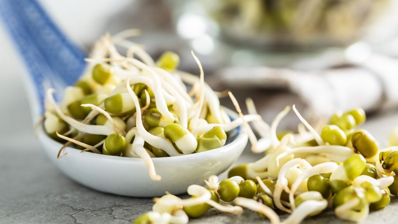 નિષ્ણાતો જણાવે છે કે સામાન્ય સ્વાસ્થ્ય ધરાવતા લોકો, જેમને કોઈ ખાસ તબીબી સમસ્યા નથી, તેઓ રોજ મગની દાળના સ્પ્રાઉટ્સ ખાઈ શકે છે. જોકે, ગેસ અથવા એસિડિટીની સમસ્યા હોય તો સ્પ્રાઉટ્સને હળવા ઉકાળી ને ખાવા વધુ યોગ્ય છે. દરરોજ આશરે 100 ગ્રામ સ્પ્રાઉટ્સ પૂરતા ગણાય છે અને તેને અન્ય ખોરાક સાથે ભેળવીને લેવાં જોઈએ. વિટામિન C પ્રોટીનના શોષણમાં મદદ કરે છે, તેથી સ્પ્રાઉટ્સ સાથે લીંબુ અથવા કાકડી ઉમેરવી ફાયદાકારક છે.