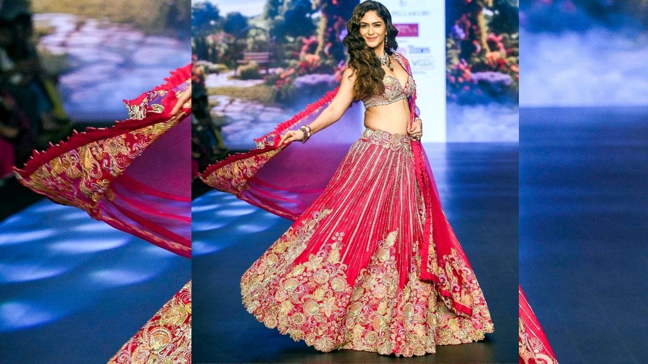 લગ્નની અફવાઓ વચ્ચે આજે આપણે જાણીશું કે,ધનુષ કે મૃણાલ ઠાકુર કોણ વધારે પૈસાદાર છે? તેમની કુલ સંપત્તિ વિશે જાણીએ. બંન્ને વચ્ચે રિલેશનને લઈ ઓગસ્ટ 2025 ચર્ચા શરુ થઈ હતી. ધનુષ સન ઓફ સરદાર 2ના પ્રીમિયરમાં સામેલ થયો હતો.