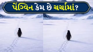 Viral Video: 2007નો પેંગ્વિન, 2026માં આંસુ લાવી રહ્યો છે! આખી દુનિયા કેમ થઈ ઈમોશનલ?