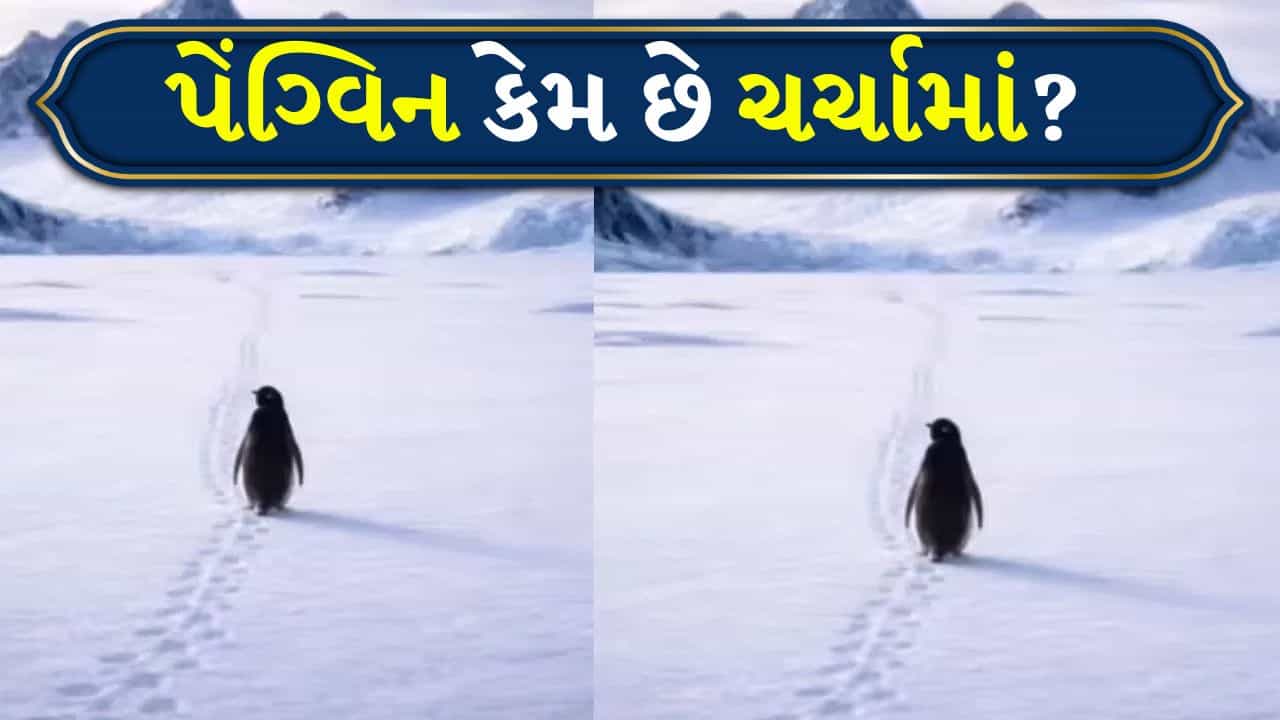 Viral Video: 2007નો પેંગ્વિન, 2026માં આંસુ લાવી રહ્યો છે! આખી દુનિયા કેમ થઈ ઈમોશનલ?