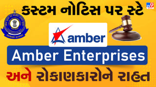 Breaking News : Amber Enterprisesને ગુજરાત હાઈકોર્ટ તરફથી મોટી રાહત, જાણો A ટુ Z માહિતી