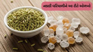 તમે રોજ મુખવાસમાં જે વરિયાળી ખાઓ છો એ અસલી છે કે નકલી, શરીર માટે બની જશે ઝેર- આ રીતે ચકાસો