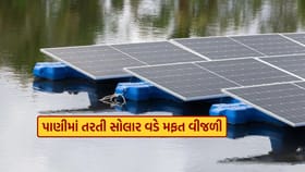 Floating solar panels : તરતી સોલાર પેનલ વડે જનરેટ થાય છે વીજળી