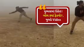 ગાઢ ધુમ્મસમાં ક્રિકેટ, યુવાનોનો અનોખો સંઘર્ષ, જુઓ Video