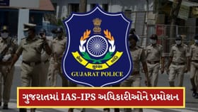 નવા વર્ષે ગુજરાતના 14 જેટલા IAS-IPS અધિકારીઓને પ્રમોશનની ભેટ