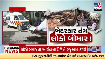 ગાંધીનગરમાં ટાઈફોઈડના 130 કેસ, તંત્રના દાવા સામે TV9નો રિયાલિટી ચેક ચોંકાવનારો, જુઓ Video