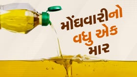 ખાદ્યતેલ ફરી બન્યું મોંઘું, સિંગતેલના ભાવમાં ભડકો, જુઓ Video