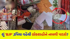 ભાજપના પ્રચાર પત્ર સાથે કવરમાં રૂપિયા અપાયાનો વીડિયો વાયરલ