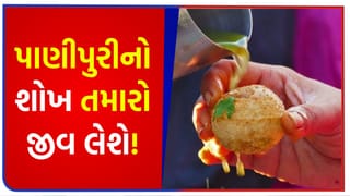 Breaking News: સ્વાદમાં મજા, સ્વાસ્થ્યમાં સજા! મોંમાં પાણી લાવે તેવી ‘પાણીપુરી’ તમારો જીવ લઈ શકે છે, એક પ્લેટ તમને હોસ્પિટલ ભેગા કરશે – જુઓ Video