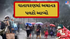 માવઠાંને કારણે ખેડૂતોમાં શિયાળુ પાકને નુકસાન થવાની ભીતિ