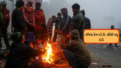 ગુજરાતનું કાશ્મીર કહેવાતા નલિયામાં કેમ વધારે ઠંડી પડે, જાણો કારણ