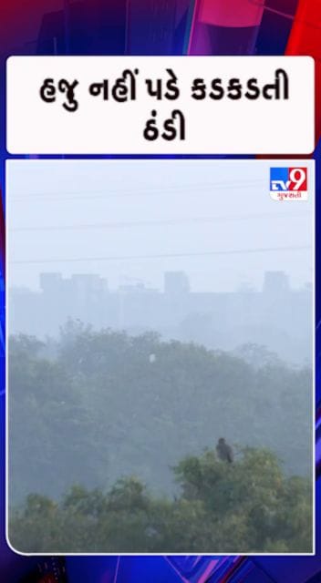 કડકડતી ઠંડી માટે હજુ જોવી પડશે રાહ