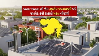 Rooftop Wind Energy : ગુજરાતમાં હવે ઘરની છત પર સોલાર પેનલની જેમ રૂફટોપ પવનચક્કી વડે ઉત્પન કરી શકાશે વીજળી, જાણો