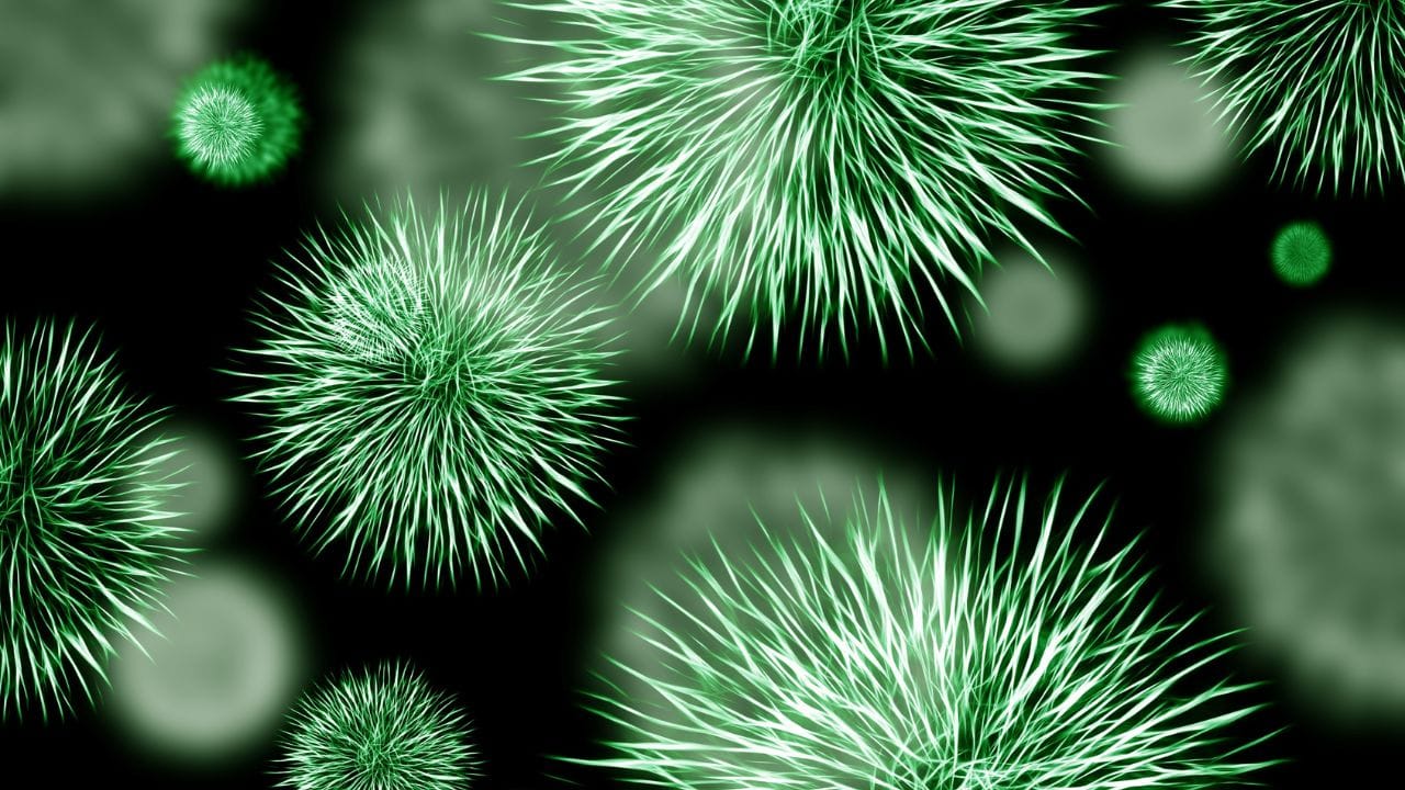 સિન્થેટિક પેન્ટી મટેરિયલ કે પછી ખોટી સાઈઝી પેન્ટીના કારણે વજાઈનામાં ખંજવાળ આવી શકે છે. વજાઈનાની યોગ્ય સાફ સફાઈ ન થવાના કારણે પણ ખંજવાળ આવી શકે છે. પીરિયડ્સ દરમિયાન હોર્મોન્સમાં થતા ફેરફારના કારણે પણ વજાઈનલ ઈચિંગ થાય છે. બેક્ટીરિયલ વેજિનોસિસના કારણે, વજાઈનામાં ખંજવાળ અને દુખાવો થઈ શકે છે. સેક્શુએલ રિલેશનના સમયે હાઈજીનનું યોગ્ય ધ્યાન ન રાખવાના કારણે પણ આવું થઈ શકે છે.