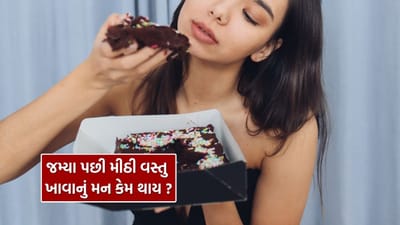 ભારતીય ઘરોમાં ભોજન પછી મીઠાઈ ખાવી એ લગભગ એક પરંપરા છે. લોકો ઘણીવાર રાત્રિભોજન પછી મીઠાઈ ખાવા માંગે છે, જ્યારે અન્ય લોકો દરેક ભોજન પછી મીઠાઈ ખાવાનું પસંદ કરે છે.