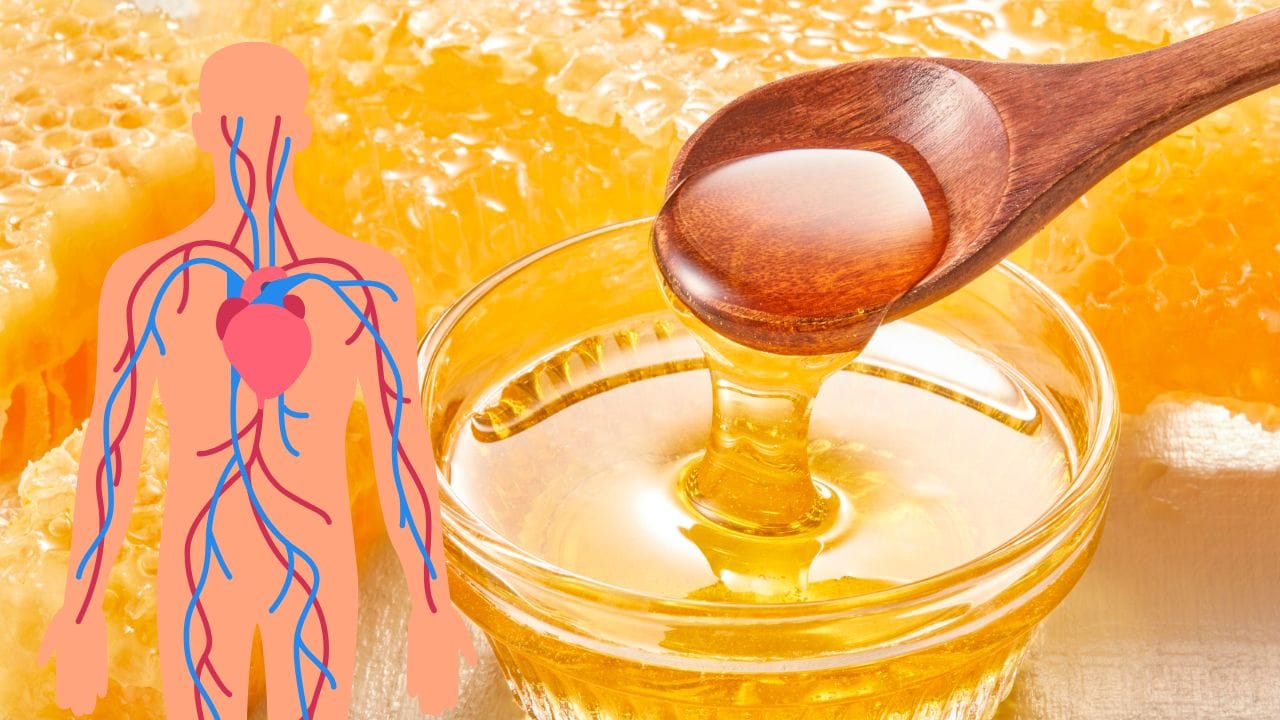 આ મિશ્રણ યોગ્ય રક્ત પ્રવાહ જાળવવામાં મદદ કરે છે અને હૃદયને સ્વસ્થ રાખી શકે છે.