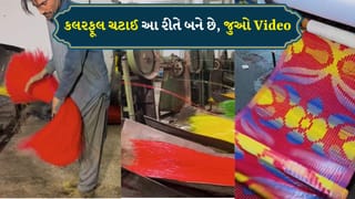 ફેક્ટરીમાં રંગબેરંગી ચટાઈ બનાવવાની રસપ્રદ પ્રક્રિયા, ઉત્પાદનનો અનોખો Video
