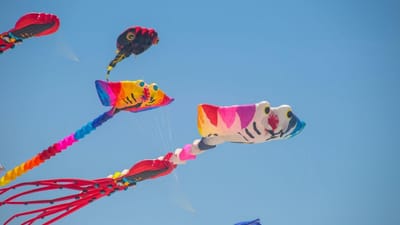 ભારત અને ન્યુઝીલેન્ડ વચ્ચે સીરિઝ શરુ થઈ ચૂકી છે. આખા જાન્યુઆરી મહિનામાં બંન્ને ટીમ અનેક મેચ રમતી જોવા મળશે. પહેલી વનડે મચ રમાઈ ચૂકી છે. જેમા ભારતીય ટીમની જીત થઈ છે. વનડે સીરિઝમાં કુલ 3 મેચછે. હજુ 2 મેચ બાકી છે. તો ચાલો જાણીએ ભારત અને ન્યુઝીલેન્ડ વચ્ચે બીજી વનડે મેચ ક્યાં અને ક્યારે રમાશે.