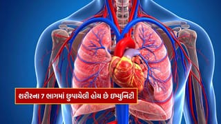 Health : ફક્ત ઉકાળામાં જ નહીં તમારા શરીરના આ 7 ભાગમાં છુપાયેલી હોય છે ઇમ્યુનિટી, તમે નહીં જાણતા હોવ