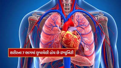 Health : ફક્ત ઉકાળામાં જ નહીં તમારા શરીરના આ 7 ભાગમાં છુપાયેલી હોય છે ઇમ્યુનિટી, તમે નહીં જાણતા હોવ