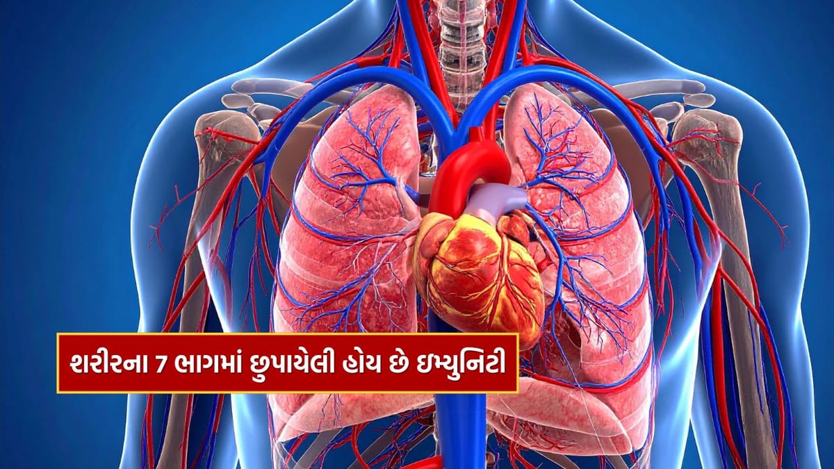 Health : ફક્ત ઉકાળામાં જ નહીં તમારા શરીરના આ 7 ભાગમાં છુપાયેલી હોય છે ઇમ્યુનિટી, તમે નહીં જાણતા હોવ