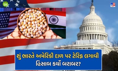 અમેરિકન પેદાશની દાળ પર ભારતના ટેરિફથી ડઘાઈ ગયા ત્યાંના ખેડૂતો, ટ્રમ્પને પત્ર લખીને કહ્યુ મોદીને સમજાવો ટેરિફ પાછો લે- વાંચો