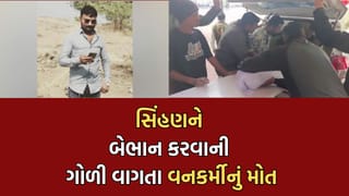ગીરમાં દુઃખદ ઘટના: માનવભક્ષી સિંહણને બેભાન કરવાની ગોળી ટ્રેકરને વાગી જતા થયુ મોત- Video