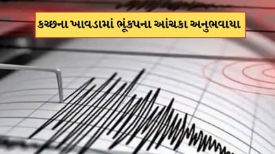 Breaking News: કચ્છના ખાવડામાં મોડી રાતે ભૂકંપનો આંચકો, તીવ્રતા 4.1 રિક્ટર સ્કેલ નોંધાઈ
