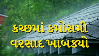 Breaking News : ભર શિયાળે કચ્છમાં કમોસમી વરસાદ ખાબક્યો, વેસ્ટર્ન ડિસ્ટર્બન્સની અસરથી ખેતીને નુકસાનની ભીતિ, જુઓ Video