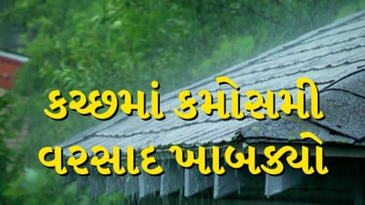 Breaking News : ભર શિયાળે કચ્છમાં કમોસમી વરસાદ ખાબક્યો, વેસ્ટર્ન ડિસ્ટર્બન્સની અસરથી ખેતીને નુકસાનની ભીતિ, જુઓ Video Breaking News : ભર શિયાળે કચ્છમાં કમોસમી વરસાદ ખાબક્યો, વેસ્ટર્ન ડિસ્ટર્બન્સની અસરથી ખેતીને નુકસાનની ભીતિ, જુઓ Video