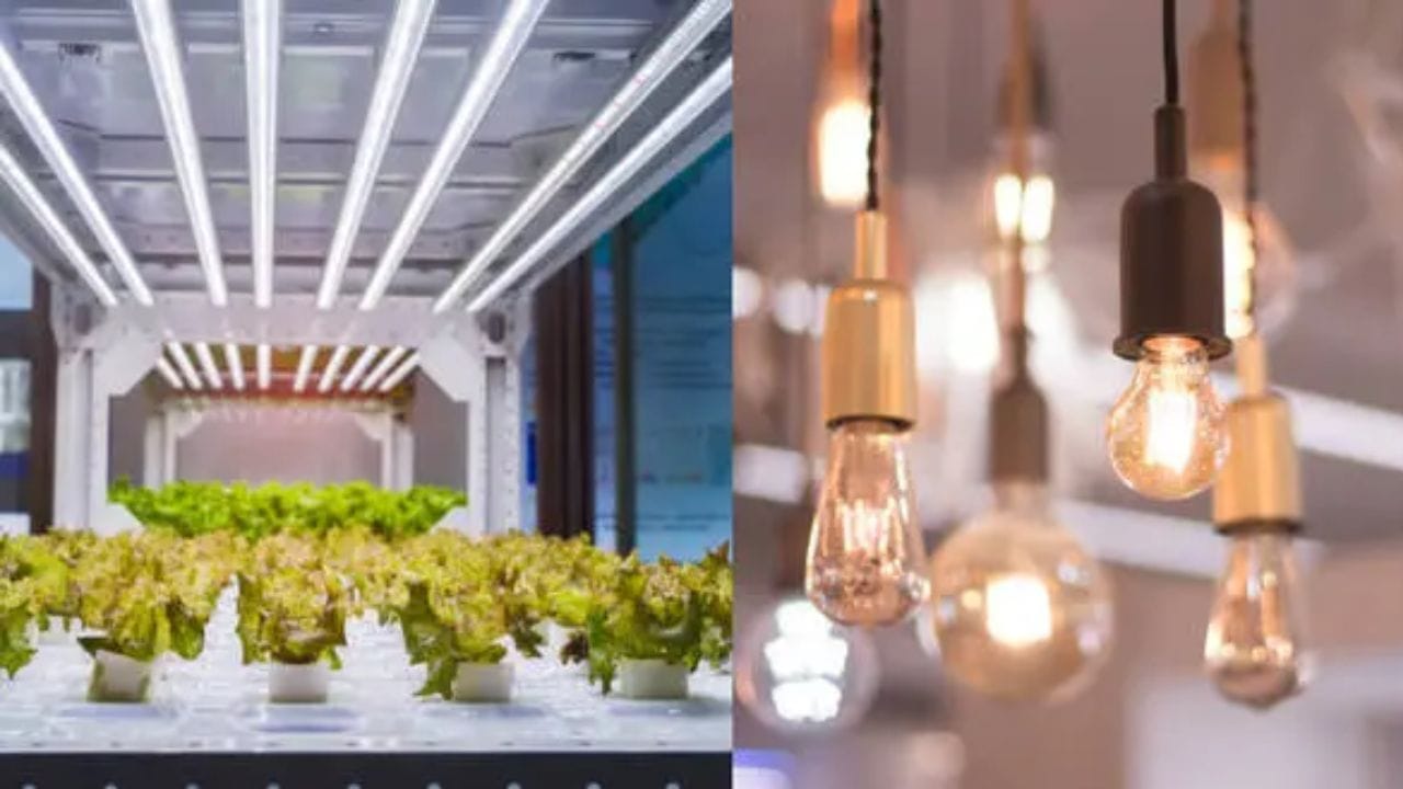 LED ટ્યુબલાઇટ લાંબી હોય છે અને તેમનો પ્રકાશ ચારે બાજુ ફેલાવે છે. તેથી, તે મોટા રૂમ, રસોડા અથવા હૉલવે માટે તે બેસ્ટ છે. 20-વોટનો LED ટ્યુબલાઇટ આખા રૂમને પ્રકાશિત કરી શકે છે. દરમિયાન, LED બલ્બ ગોળ હોય છે અને એક દિશામાં વધુ પ્રકાશ કેન્દ્રિત કરે છે. રૂમ માટે સારી રોશની પૂરી પાડવા માટે, તમારે 2-3 બલ્બ લગાવવાની જરૂર પડી શકે છે. ઉદાહરણ તરીકે, 9-વોટ ટ્યુબલાઇટ ઇન્સ્ટોલ કરવાથી ઓછી વીજળીનો વપરાશ થશે અને તે પણ સમાન પ્રકાશ આપશે. જોકે, 7-વોટના બે બલ્બ ઇન્સ્ટોલ કરવાથી કુલ 14 વોટ વીજળી મળશે, જે વધુ વીજળીનો વપરાશ કરશે. આમ, સ્થાન અને જરૂરિયાતોના આધારે, ટ્યુબલાઇટ ઘણીવાર ઓછી વીજળી સાથે વધુ ફાયદા આપે છે.