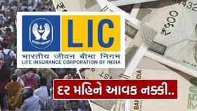 LIC ની યોજનામાં દર મહિને 10,000 રૂપિયાથી વધુની કમાણી