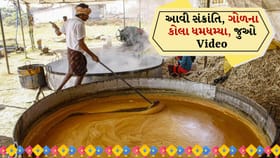 મકરસંક્રાંતિ નજીક આવતા નર્મદામાં ગોળના કોલા ધમધમ્યા, જુઓ Video