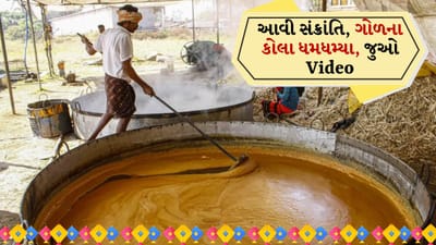 મકરસંક્રાંતિ નજીક આવતા નર્મદામાં ગોળના કોલા ધમધમ્યા, દેશી ગોળની માગમાં વધારો, જુઓ Video મકરસંક્રાંતિ નજીક આવતા નર્મદામાં ગોળના કોલા ધમધમ્યા, દેશી ગોળની માગમાં વધારો, જુઓ Video