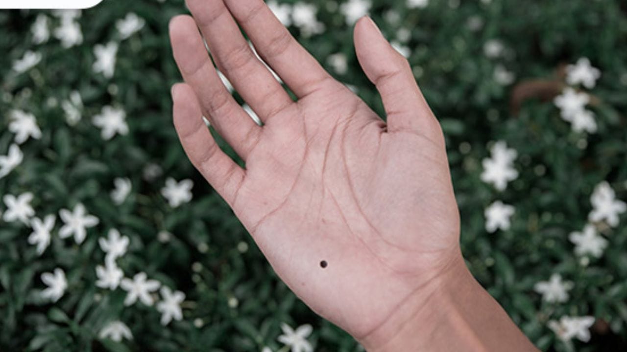 સામુદ્રિક શાસ્ત્ર સલાહ આપે છે કે હથેળી પર આવા તલ ધરાવતી વ્યક્તિએ આક્રમકતા અને ઘમંડથી દૂર રહેવું જોઈએ. તેમણે પોતાના વર્તનમાં સરળતા અને નમ્રતા જાળવી રાખવી જોઈએ.