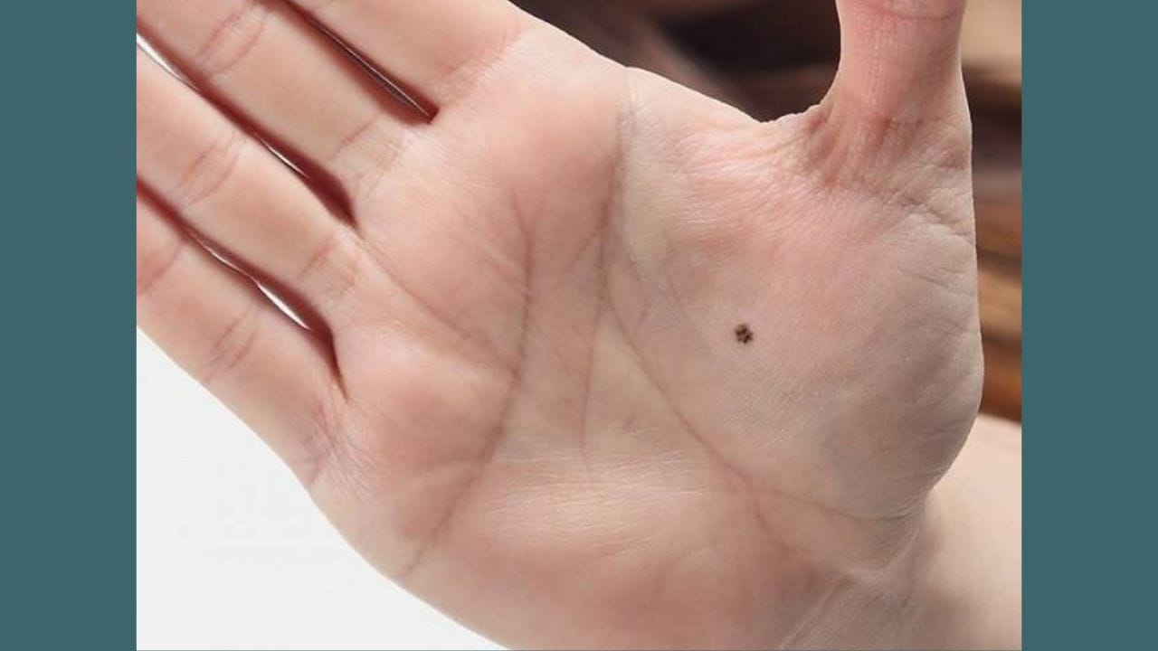 એવું કહેવાય છે કે આવા લોકોના પરિવારો સાત પેઢીઓ સુધી ધનવાન રહે છે. આવા લોકો આર્થિક અને માનસિક રીતે મજબૂત હોય છે. તેમને દેવી લક્ષ્મીના વિશેષ આશીર્વાદ પ્રાપ્ત થાય છે.