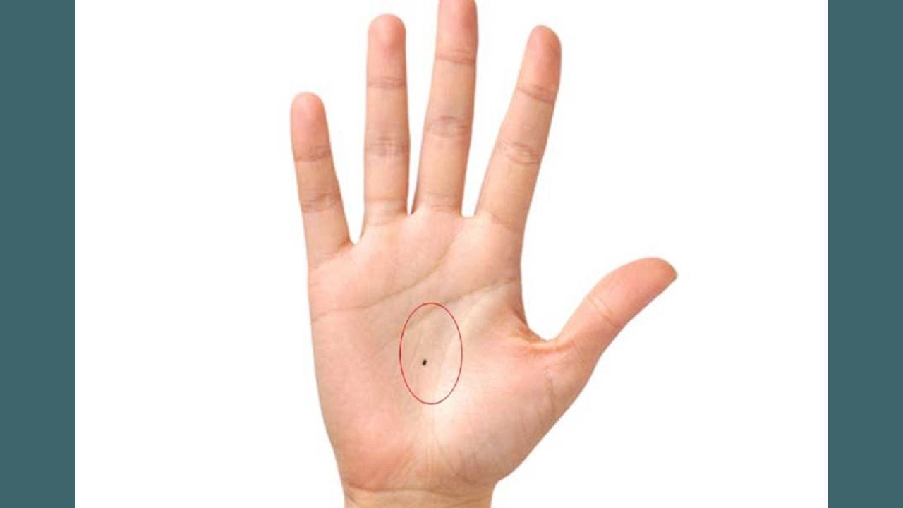 જ્યોતિષ શાસ્ત્ર મુજબ શરીર પર નાના તલ પણ વ્યક્તિની નાણાકીય સ્થિતિ, ચારિત્ર્ય અને જીવનમાં દિશા દર્શાવે છે. શરીરના અમુક ભાગો પર તલ અપાર સંપત્તિ, સુખ અને સમૃદ્ધિનું પ્રતીક માનવામાં આવે છે. આવા લોકોને જીવનમાં ક્યારેય પૈસાની કમીનો સામનો કરવો પડતો નથી. આજે, અમે તમને હથેળી પરના આવા જ એક તલ વિશે જણાવવા જઈ રહ્યા છીએ, જેને ખૂબ જ ભાગ્યશાળી માનવામાં આવે છે.