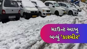 રાજસ્થાનના કાશ્મીર માઉન્ટ આબુમાં કાતિલ ઠંડી, જુઓ Video