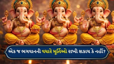 ઘરમાં એક જ ભગવાનની અનેક મૂર્તિઓ રાખવી યોગ્ય છે કે ખોટું? જાણો હિન્દુ ધર્મ અને વાસ્તુશાસ્ત્ર શું કહે છે