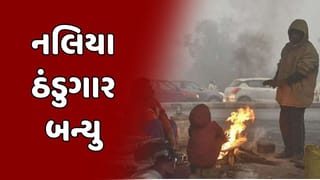 Gujarat Weather : ગુજરાતમાં ઠંડીનો ચમકારો યથાવત, 8.6 ડિગ્રી તાપમાન સાથે નલિયા સૌથી ઠંડુગાર, 48 કલાકમાં ઠંડી ઘટવાની આગાહી