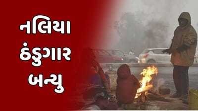 Gujarat Weather : ગુજરાતમાં ઠંડીનો ચમકારો યથાવત, 8.6 ડિગ્રી તાપમાન સાથે નલિયા સૌથી ઠંડુગાર, 48 કલાકમાં ઠંડી ઘટવાની આગાહી