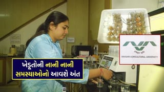 બદલાતા હવામાનમાં ખેડૂતો માટે નવસારી કૃષિ યુનિવર્સિટીનું PhD સંશોધન બન્યું આશાનું કિરણ, જુઓ Video